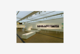  Stahl- und Traumfabrik AG