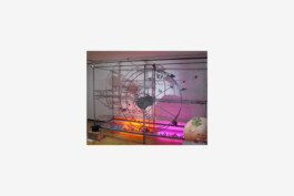  Stahl- und Traumfabrik AG