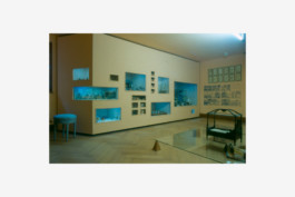 Stahl- und Traumfabrik AG