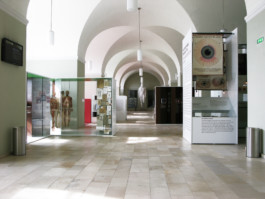  Stahl- und Traumfabrik AG