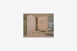 Stahl- und Traumfabrik AG