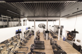 Stahl- und Traumfabrik AG