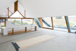 Stahl- und Traumfabrik AG