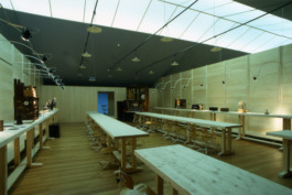 Stahl- und Traumfabrik AG