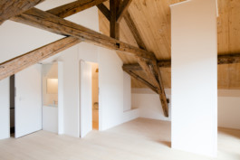 Stahl- und Traumfabrik AG