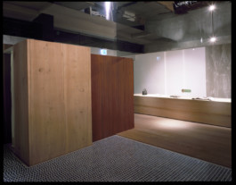 Stahl- und Traumfabrik AG