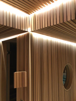  Stahl- und Traumfabrik AG