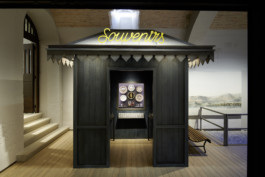  Stahl- und Traumfabrik AG