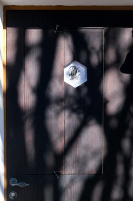 Stahl- und Traumfabrik AG