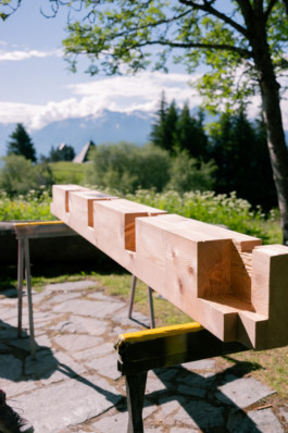 Stahl- und Traumfabrik AG